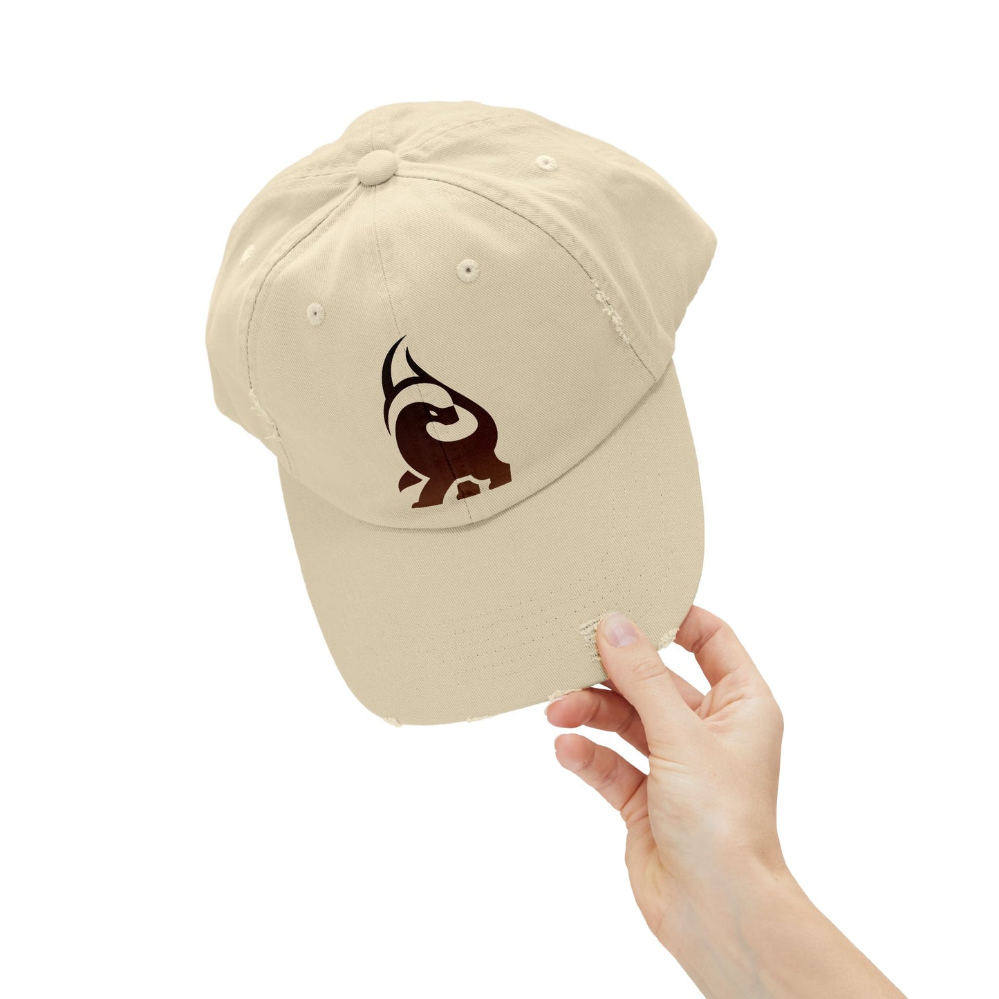 Unisex Distressed Cap