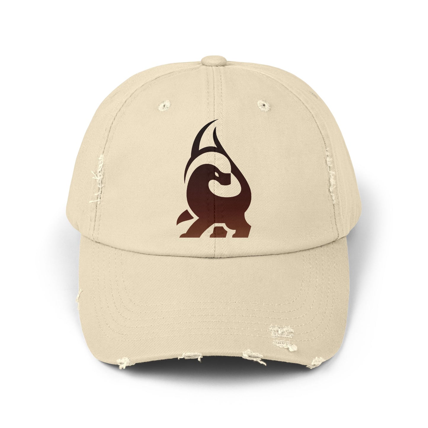 Unisex Distressed Cap