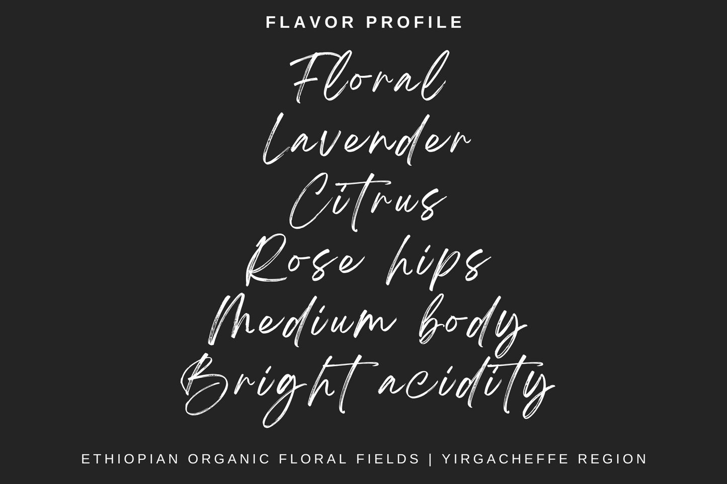 Sovereign Joe | Ethiopian Organic Floral Fields | Benti Neka Washed